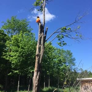 Meet your Posher, Owen